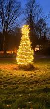 weihnachtsbaum beleuchtet.jpg